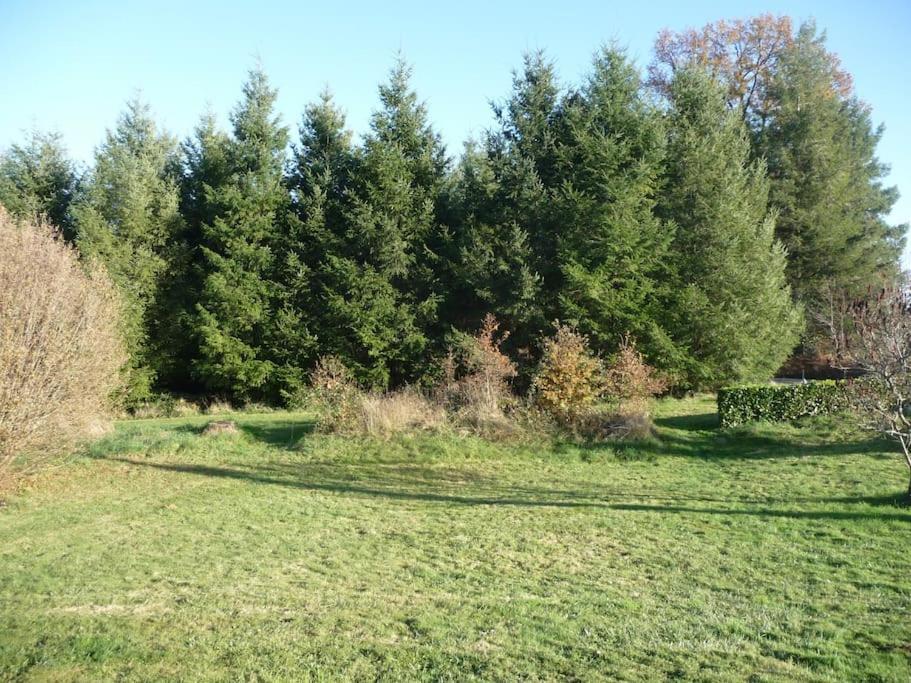 Gite Des Forces - Limousin - Haute Vienne Saint-Bazile Exterior foto
